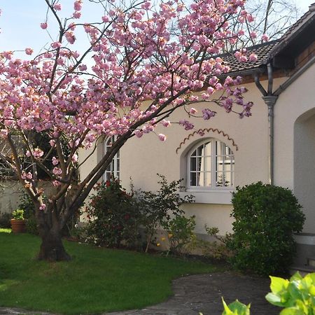 Maison D'Hotes Paris Riverside Saint-Maur-des-Fosses ภายนอก รูปภาพ