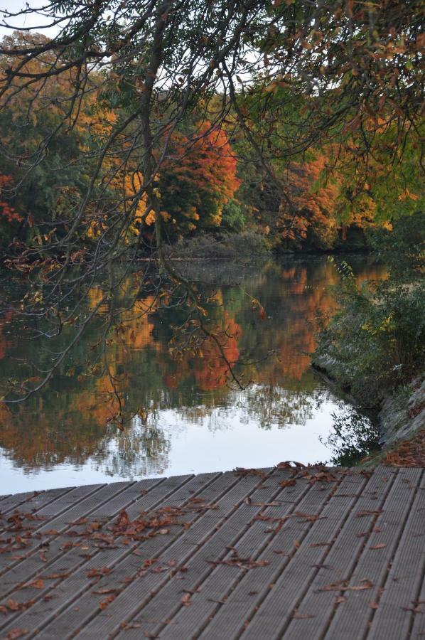 Maison D'Hotes Paris Riverside Saint-Maur-des-Fosses ภายนอก รูปภาพ