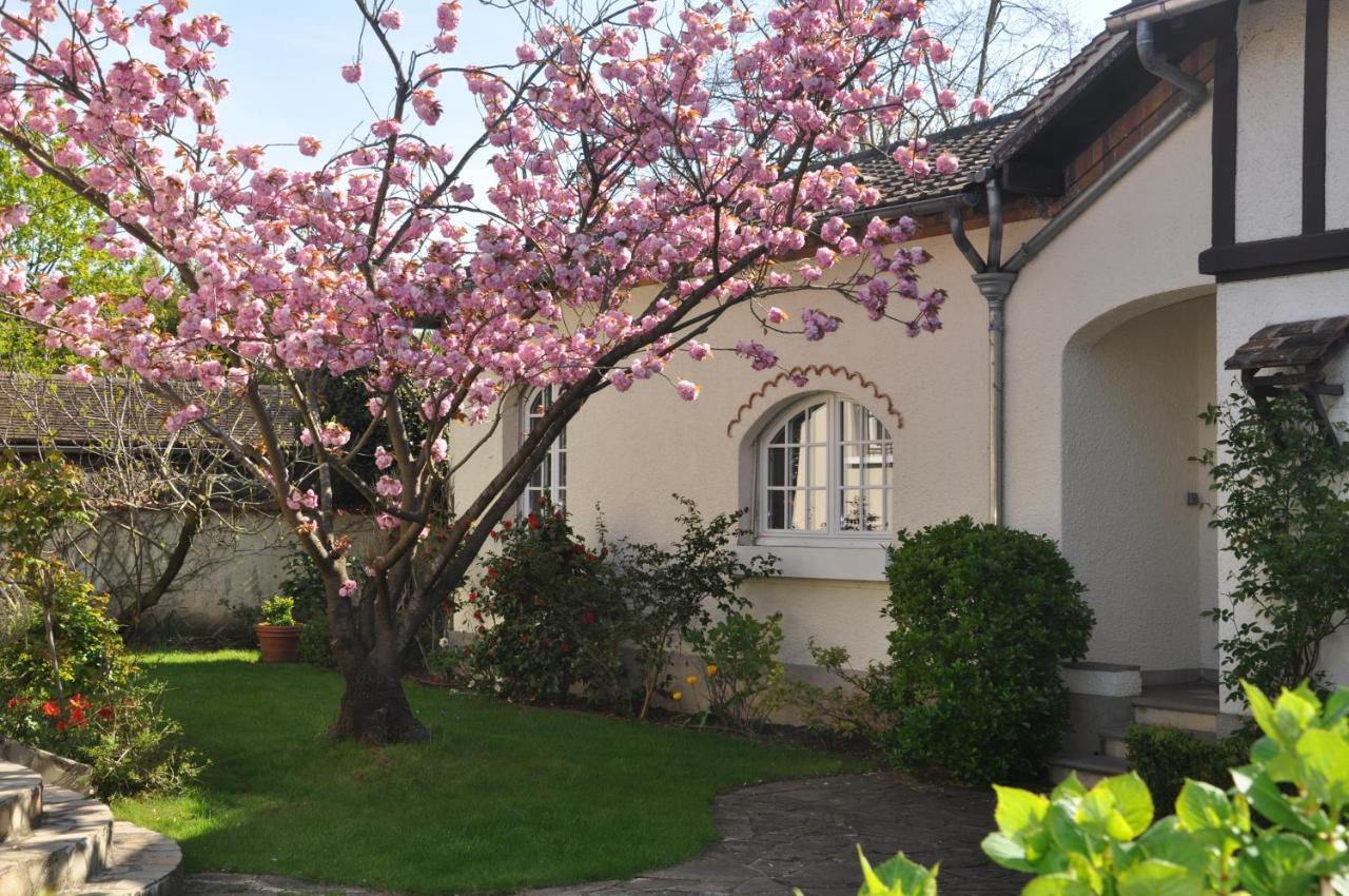 Maison D'Hotes Paris Riverside Saint-Maur-des-Fosses ภายนอก รูปภาพ